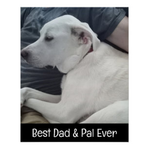 Photo of Cute Dog with Best Pal Ever Square Poster