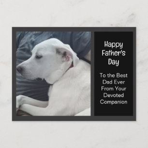 Photo of Cute Dog with Dad Companion Father's Day Holiday Postcard