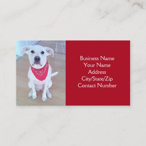 Photo of Cute Dog With Funny Sticking Out Ears Red Business Card