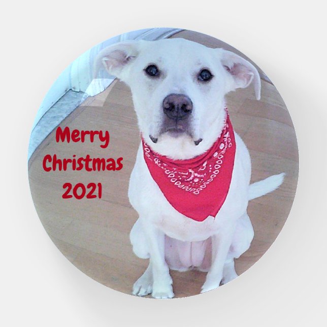 Photo of Cute Dog With Funny Sticking Out Ears Red Paperweight (Front)