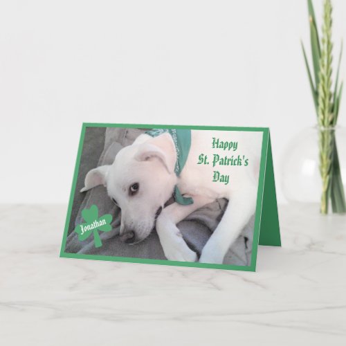 Photo of Cute Lazy Dog Funny St Patricks Day Card