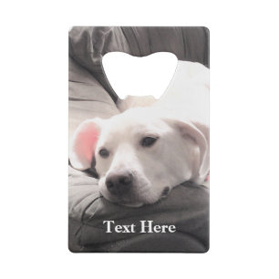 Photo of Cute Lazy White Dog Coach Potato Credit Card Bottle Opener
