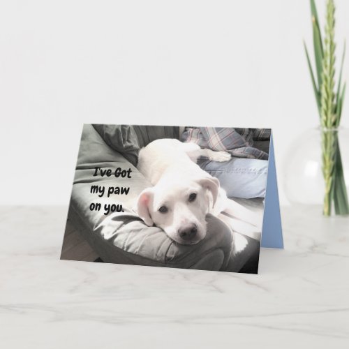 Photo of Cute Lazy White Dog Hanging Out with Dad Card