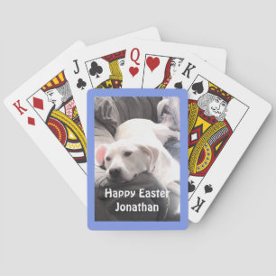 Photo of Cute Lazy White Dog With Best Friend Dad Poker Cards