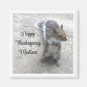 Photo of Cute Little Squirrel with Fluffy Tail Magnet
