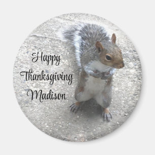 Photo of Cute Little Squirrel with Fluffy Tail Magnet