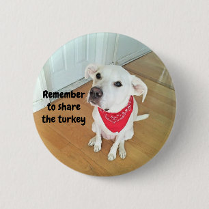 Photo of Cute Pup Dog With Funny Ears Sticking Out Button