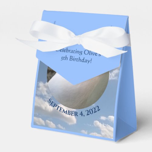 Photo of Cute Puppy Dog Sleeping Blue Birthday Favor Boxes