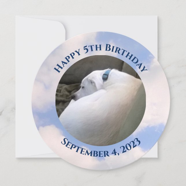 Photo of Cute Puppy Dog Sleeping Blue Birthday Invitation (Front)