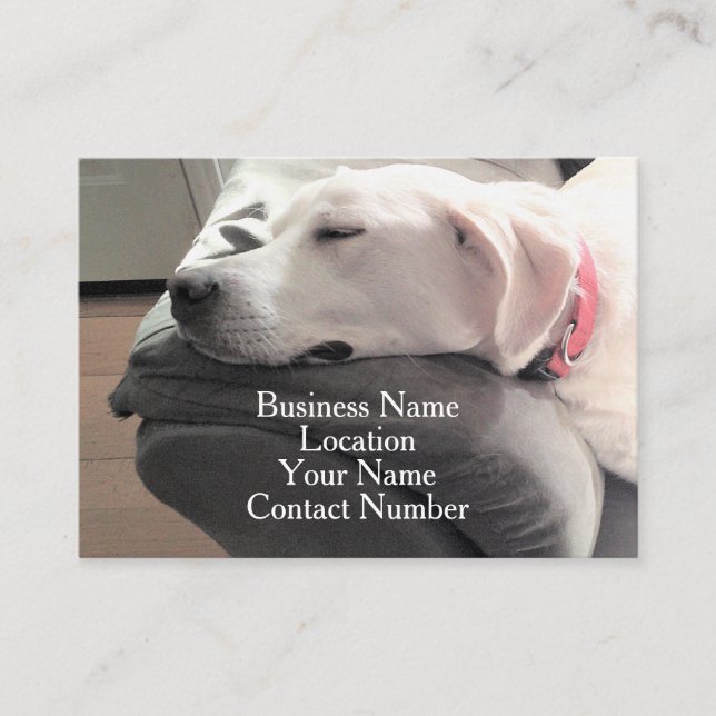 Photo of Cute Sleeping White Dog on Couch Business Card (Front)