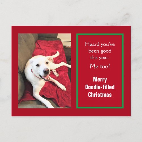 Photo of Cute Smiling White Dog Red Christmas Holiday Postcard