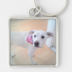 Photo of Cute Sweet White Puppy Dog Face Keychain