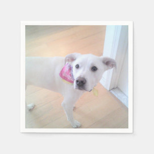 Photo of Cute Sweet White Puppy Dog Face Napkins