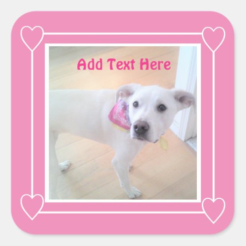 Photo of Cute Sweet White Puppy Dog Face Pink Square Sticker