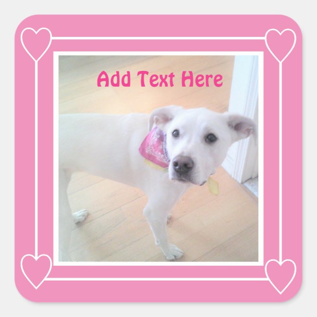 Photo of Cute Sweet White Puppy Dog Face Pink Square Sticker (Front)