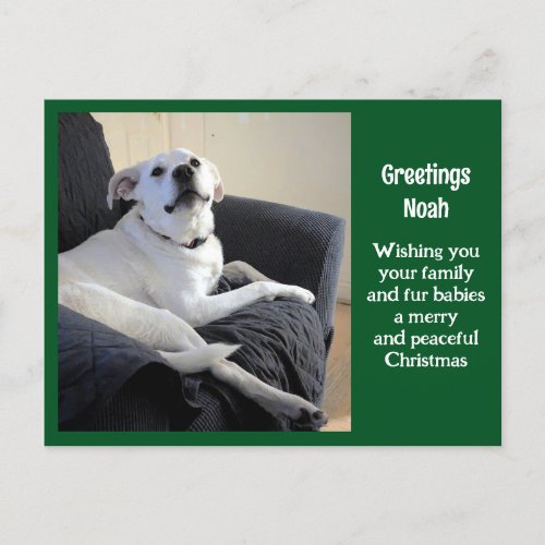 Photo of Cute Talking Dog Green Christmas Postcard