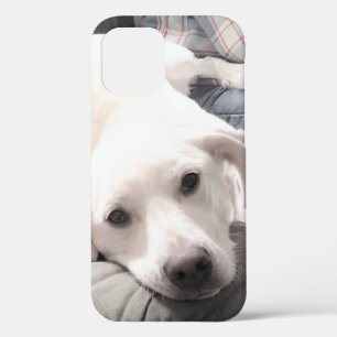 Photo of Cute Tired dog With Dad on Couch iPhone 12 Case