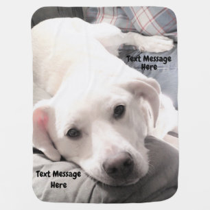Photo of Cute Tired Puppy Dog With Dad on Couch  Baby Blanket