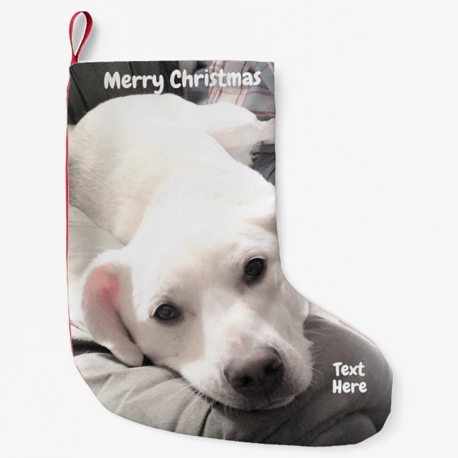 Photo of Cute Tired Puppy dog With Dad on Couch Small Christmas Stocking (Front)