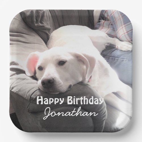 Photo of Cute Tired White Dog With Best Friend Dad Paper Plates
