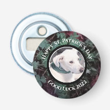 Photo of Cute White Dog Green Shamrocks Clovers