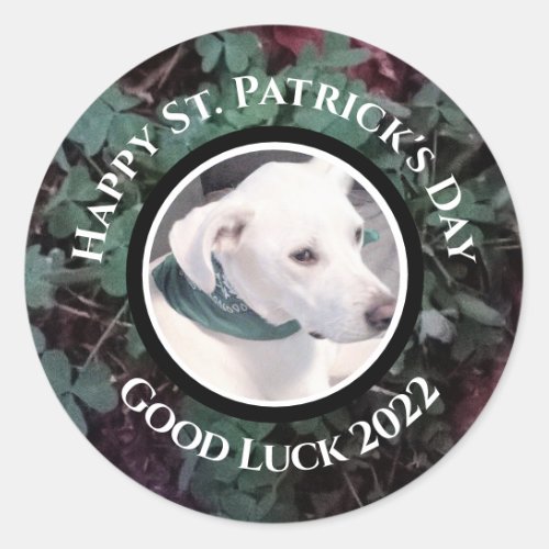 Photo of Cute White Dog Green Shamrocks Clovers Classic Round Sticker