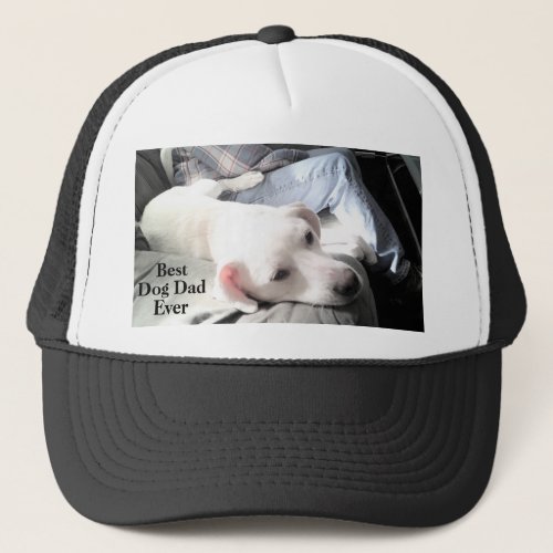 Photo of Cute White Dog Hanging Out with Dad Trucker Hat