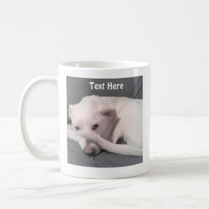 Photo of Cute White Dog hiding Behind Tail Gray Coffee Mug