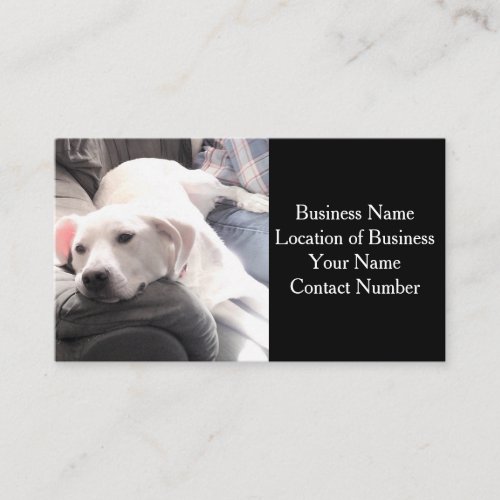Photo of Cute White Dog on Couch Black Business Card