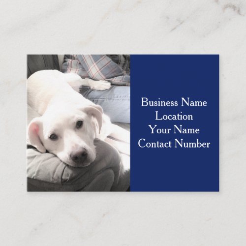 Photo of Cute White Dog on the Couch Navy Blue Business Card