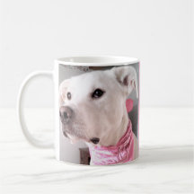 Photo of Cute White Dog Personalize With Name Pink