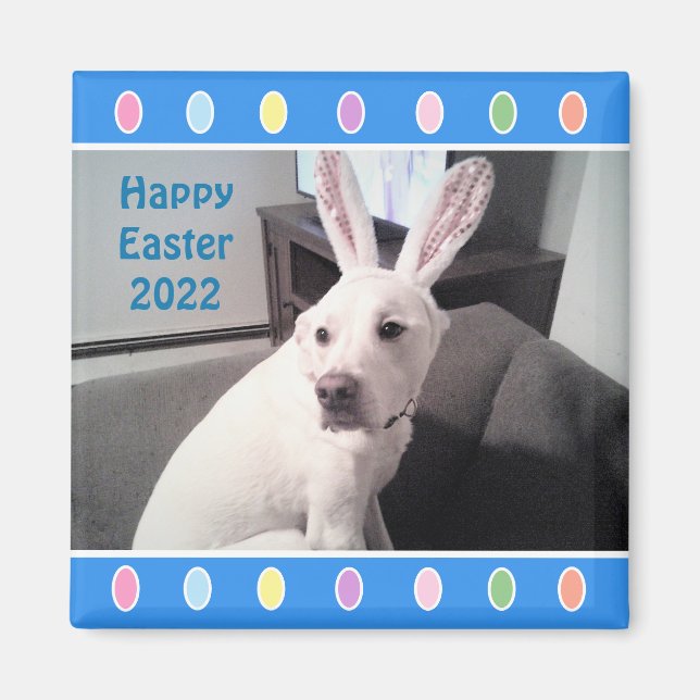 Photo of Cute White Dog Wearing Easter Bunny Ears Magnet (Front)