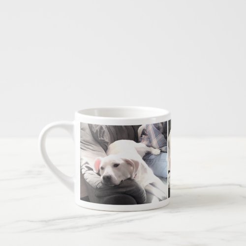 Photo of Cute White Dog With Best Friend Dad Espresso Cup