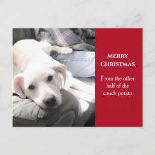 Photo of Cute White Dog With Dad Red Christmas Holiday Postcard