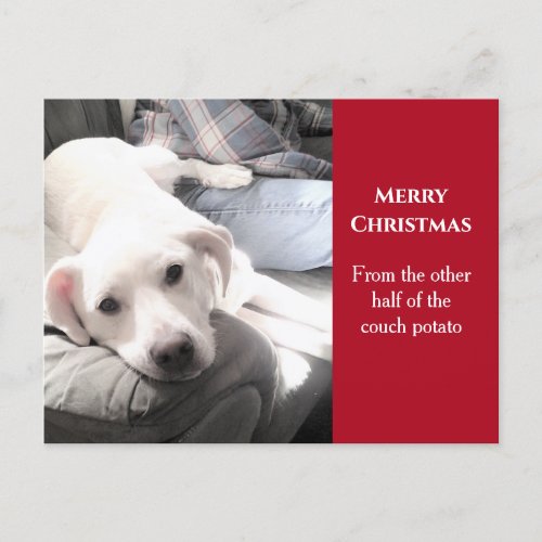 Photo of Cute White Dog With Dad Red Christmas Holiday Postcard