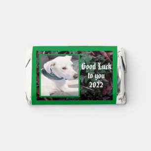 Photo of Cute White Dog With Shamrocks Clovers Hershey's Miniatures