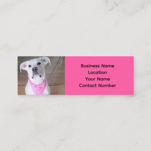 Photo of Cute White Dog with Soulful Eyes Hot Pink Mini Business Card