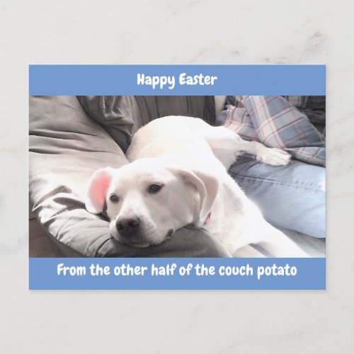 Photo of Cute White Lazy Dog With Dad Blue Holiday Postcard