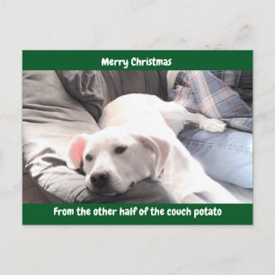 Photo of Cute White Lazy Dog With Dad Green Holiday Postcard