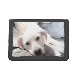 Photo of Cute White Puppy Dog With Best Friend Tri-fold Wallet