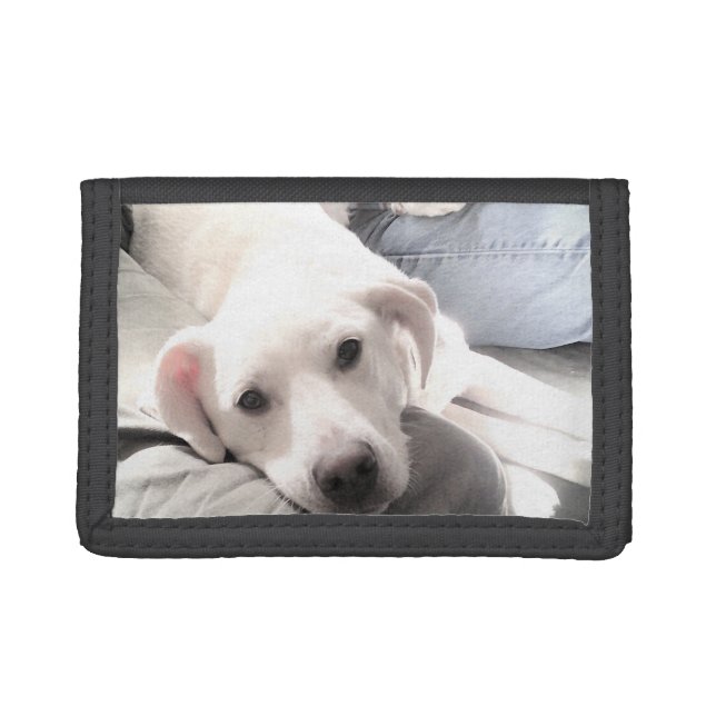 Photo of Cute White Puppy Dog With Best Friend Trifold Wallet (Front)