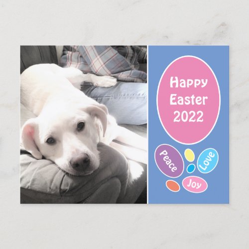 Photo of Cute White Puppy Dog With Dad Easter Eggs Holiday Postcard