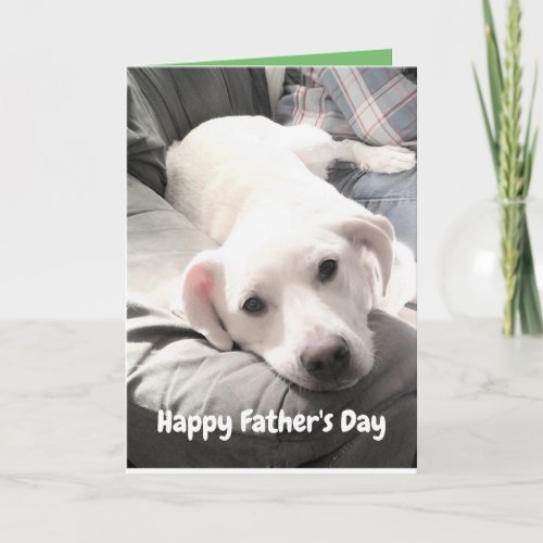 Photo of Cute White Puppy Dog With Dad Funny Card