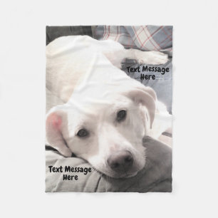 Photo of Cute White Puppy Dog With Dad on Couch Fleece Blanket