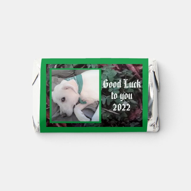 Photo of Cute White Puppy With Shamrocks Clovers Hershey's Miniatures (Front)