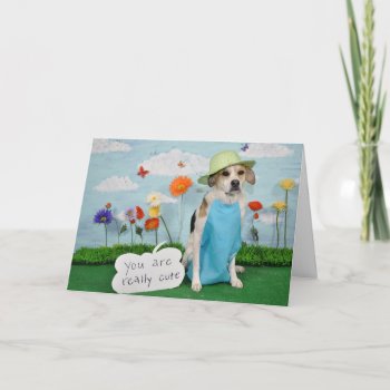 Photo Of Dog In Clothes  "cute" Theme For Anyone. Card by PlaxtonDesigns at Zazzle
