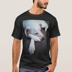 Photo of Dog Sleeping with cute big paws T-Shirt