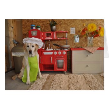 Photo Of Dog With Chef's Hat On by PlaxtonDesigns at Zazzle