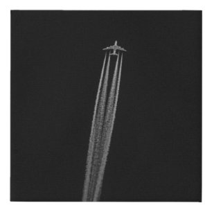 PHOTO OF FIGHTER JET FAUX CANVAS PRINT