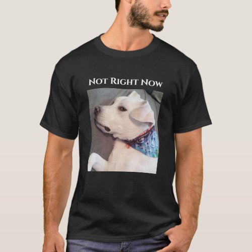 Photo of Funny Lazy Dog Wearing Scarf T_Shirt